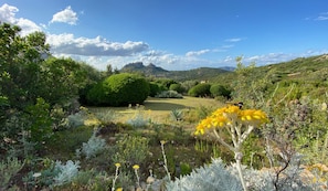 Un jardín con diversas plantas y flores, una zona de césped y montañas al fondo.
