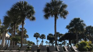 A poolside area with rows of lounge chairs and palm trees. - Hilton Head with 4 rounds of golf and tennis a day included!!!! (Hilton Head Island)