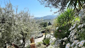 A paved pathway leading through a garden with various plants and flowers, bordered by a brick wall and metal railing. - Villa Rosanna (Patti)