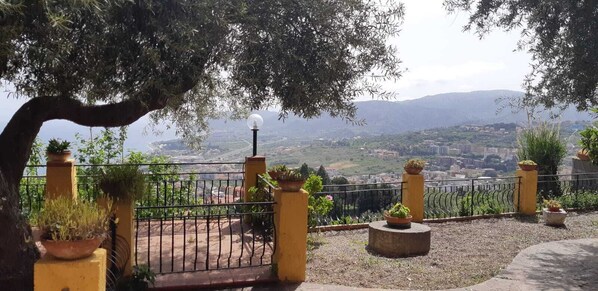 Un balcon agrémenté de plantes en pot et offrant une vue sur le paysage urbain.