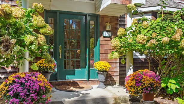 A house entrance with a green door, steps leading up to it, and potted plants with flowers. - Hamptons Summer Rental - secluded pool + 5 minutes to beach (East Quogue)