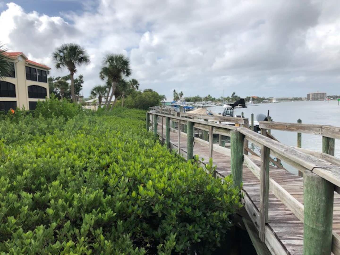 A wooden pier extending into a body of water, surrounded by lush greenery and palm trees.