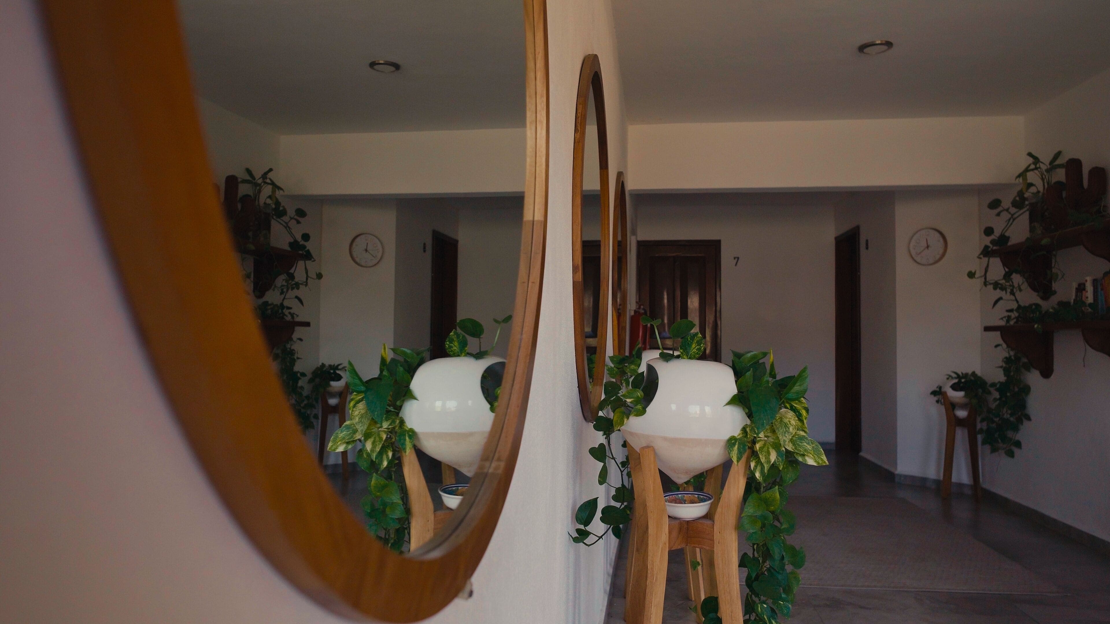 A room with a large mirror, two chairs with white cushions, and potted plants.