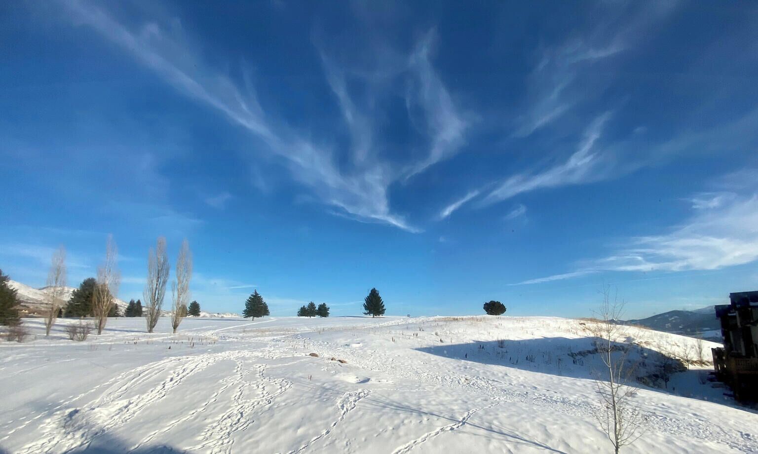 Un paysage enneigé, avec un ciel dégagé, des arbres et une chaîne de montagnes à l’horizon.