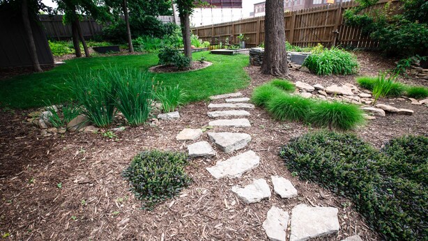 A garden pathway with stepping stones, surrounded by various plants and trees.