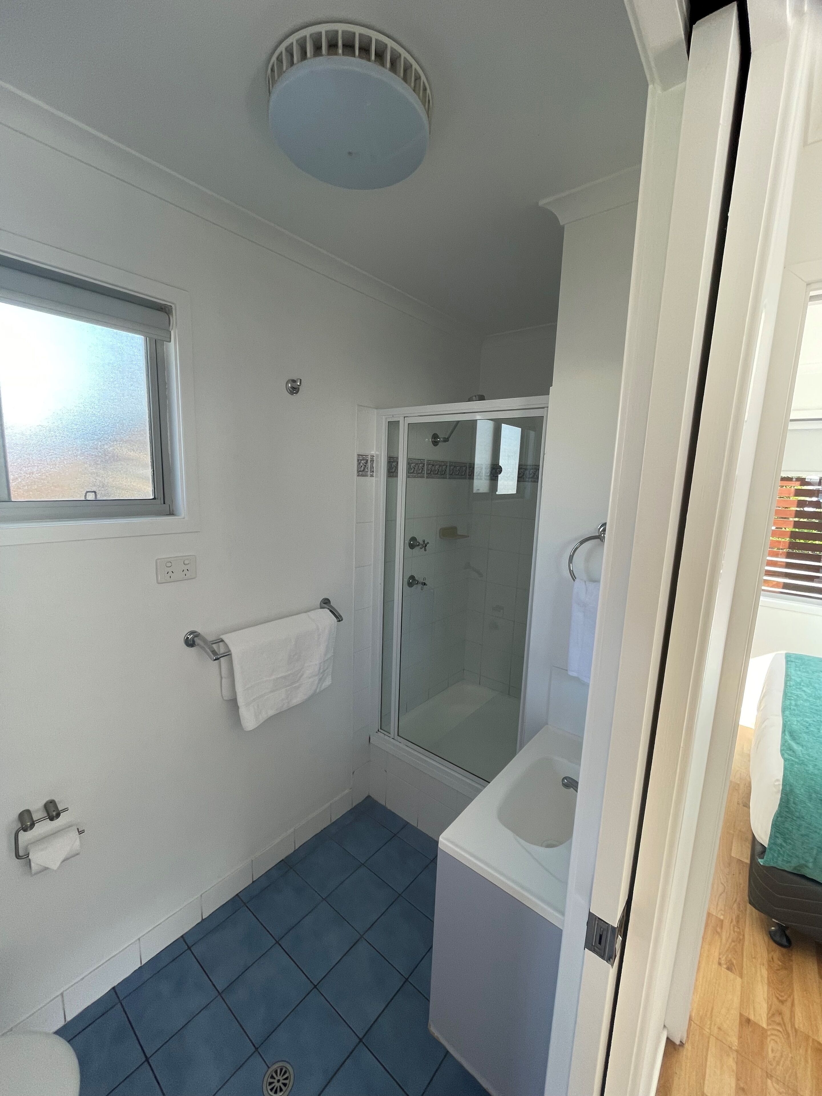 A bathroom with a shower, a window, and a sink.