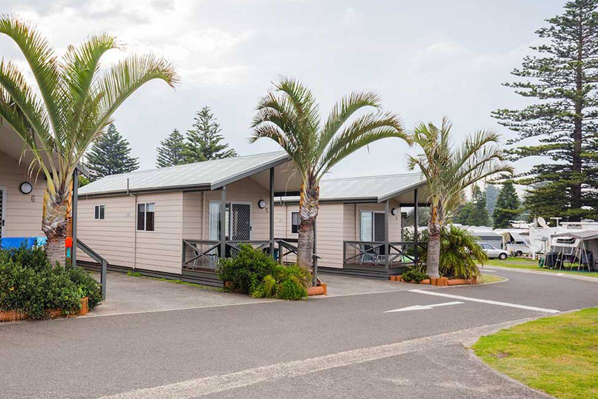 Une rangée de maisons mobiles, avec une allée pavée, entourée de palmiers et de verdure.