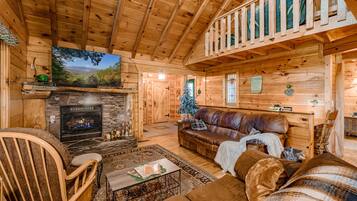 Smart TV, fireplace, video games, books
