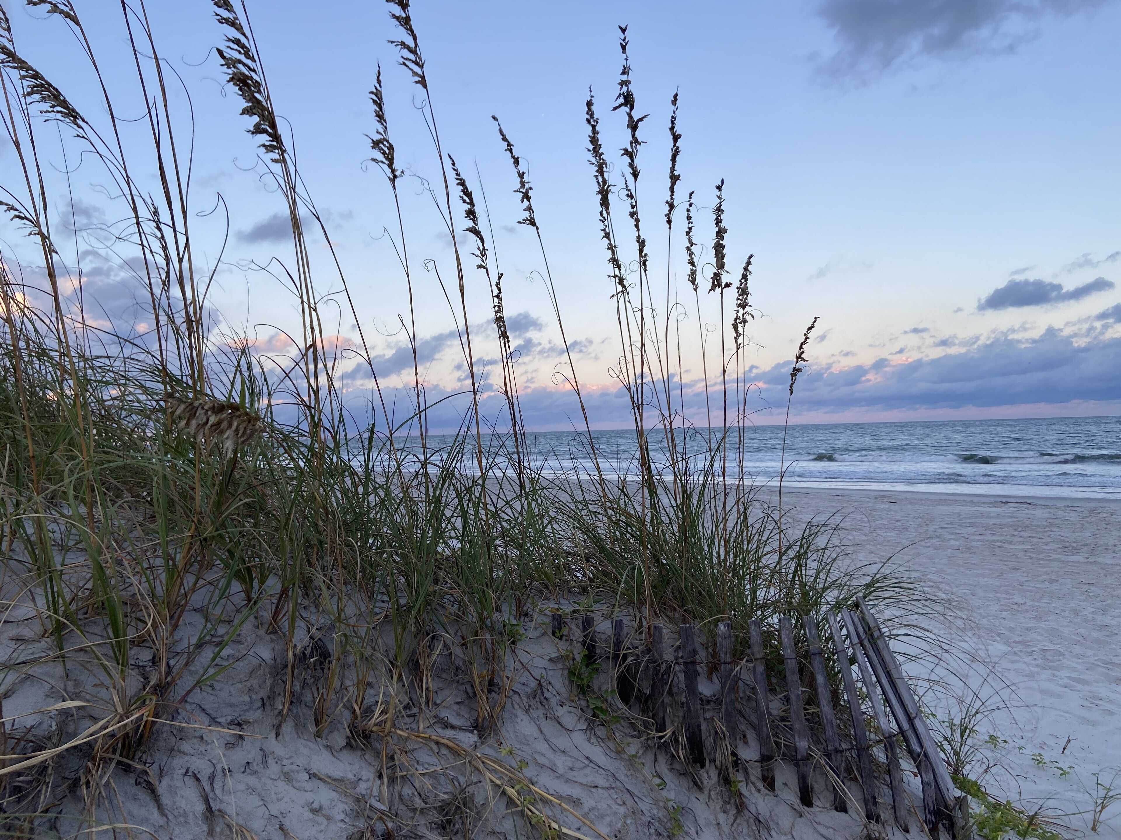 Rannalla, aurinkotuoleja, rantapyyhkeitä