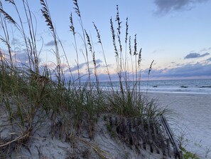 A beach with tall grasses and a wooden fence.