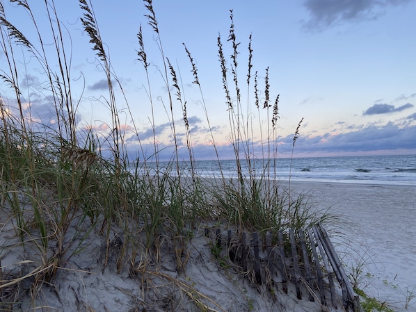 Plage, chaises longues, serviettes de plage