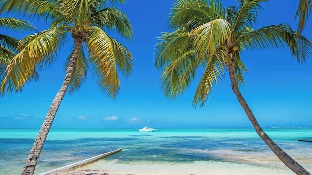 A beach with clear turquoise water, palm trees, and a boat in the distance. - Kaibo Kai Hacienda B-5 2BR/2BA at Scenic Kaibo Kai -- Beach & Pool (Cayman Kai)