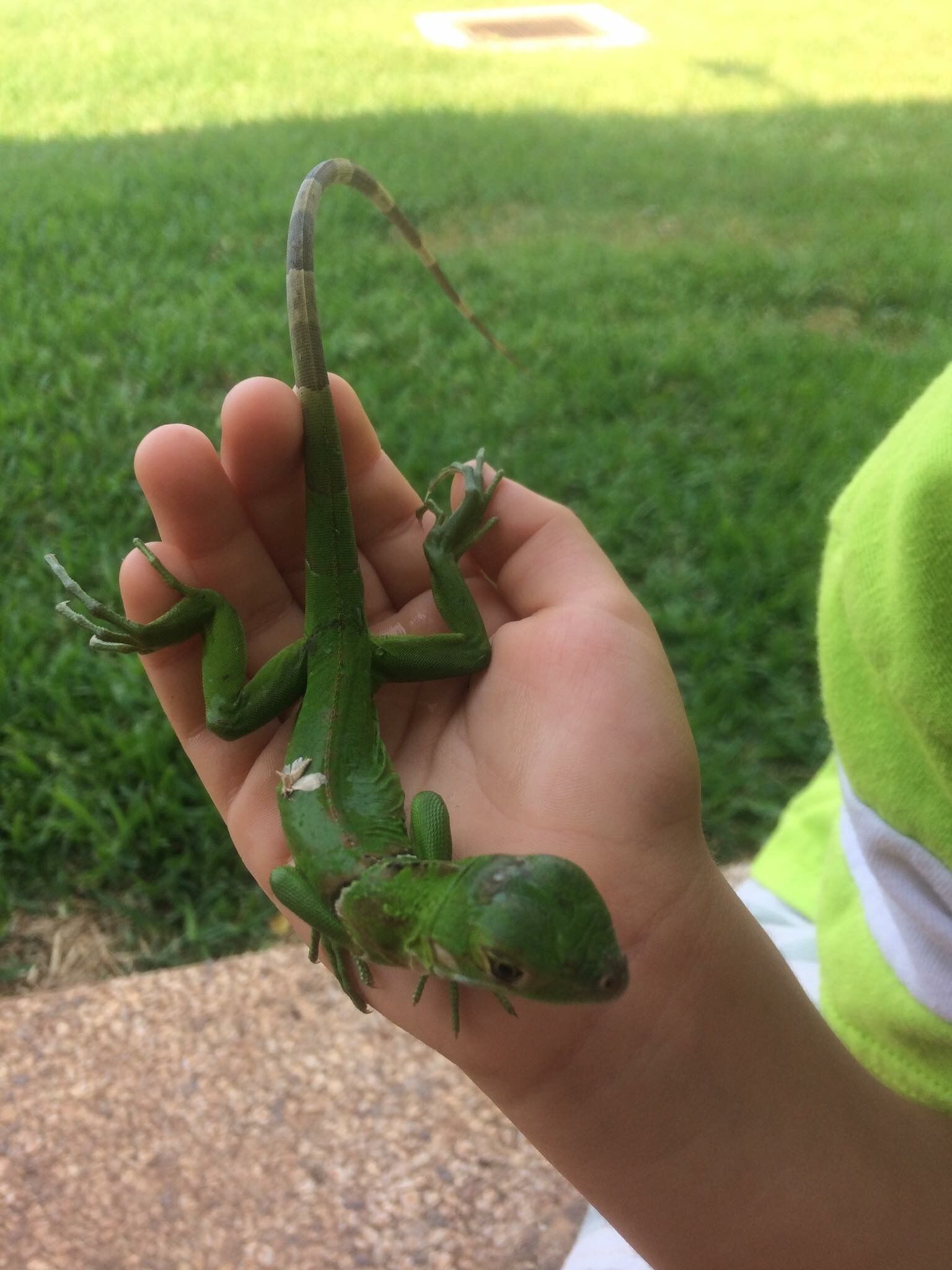 #4 Villa Shared Pool & Spa, 3 Bedrooms/2 Bath, Private Beach Ramada