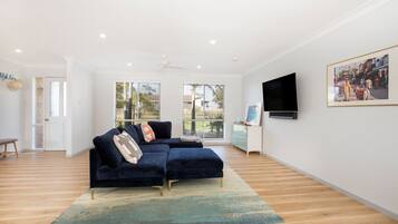 TV, video games, Netflix, books