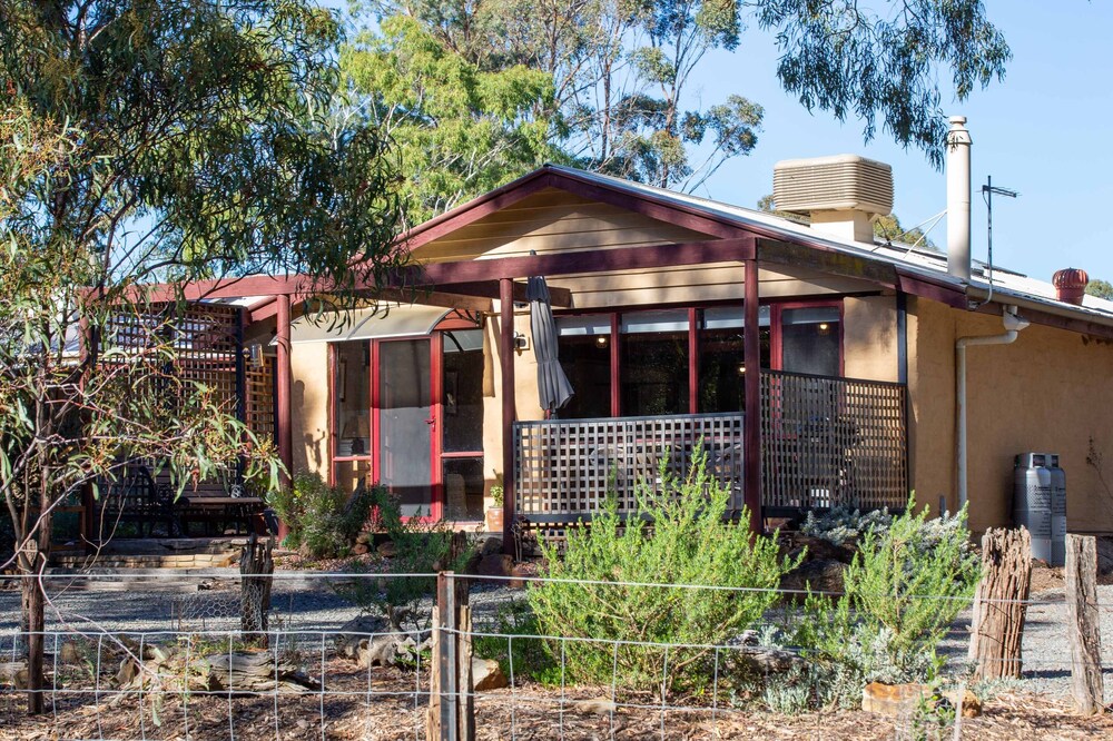 The Studio under the gum tree.