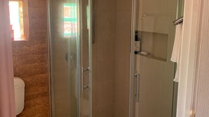 Eine Duschkabine mit Glaswänden, einer Handbrause, einer weißen Toilette und einem kleinen Ablagefach für Toilettenartikel.