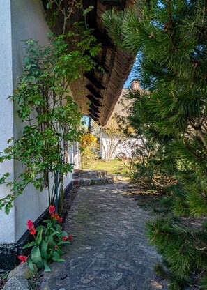 A stone pathway leading to a building with a thatched roof, surrounded by greenery and a small garden with red flowers.
