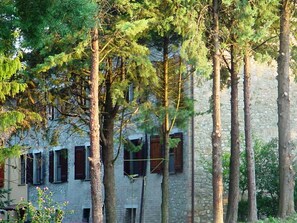 Apartment, 1 Schlafzimmer, Raucher, eigener Pool | Außenbereich