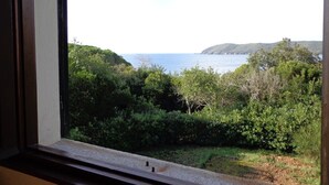 A view through a window of a coastal landscape with dense greenery and a clear sky. - Villa With Garden and Terrace for 8 pax (Capoliveri)