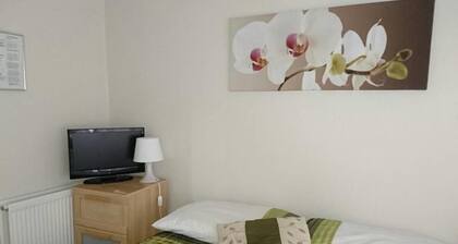 Room-tiny Single Shared Bathroom Room ss