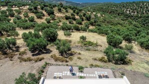 An aerial view of a property with a patio area, surrounded by olive groves and a view of the sea. - Alterra Vita Eco Villas - Suite with Sea View (Neos Marmaras)