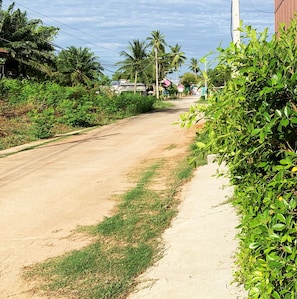 Nhà, 1 phòng ngủ, hút thuốc, ban công | Khuôn viên nơi lưu trú