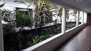Un couloir bordé d’une rangée de plantes en pot et doté d’une rambarde blanche.