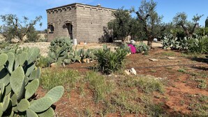 Un edificio de piedra con una entrada pequeña y un jardín con cactus y otras plantas del desierto.
