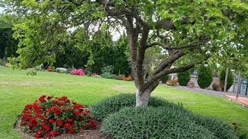 Un arbre entouré d’un jardin bien entretenu, agrémenté de fleurs rouges et d’arbustes verts.