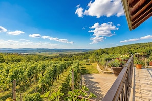 Maison Standard, plusieurs chambres, 2 salles de bains, cÎté montagne (Vineyard Homestead Vrtin) | Terrasse/patio