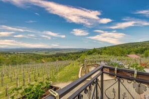 Standard House, Multiple Bedrooms, 2 Bathrooms, Mountainside (Vineyard Homestead Vrtin) | Balcony view - Vineyard Homestead Vrtin (Crnomelj)