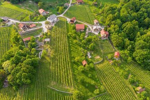 Standard House, Multiple Bedrooms, 2 Bathrooms, Mountainside (Vineyard Homestead Vrtin) | Pemandangan udara