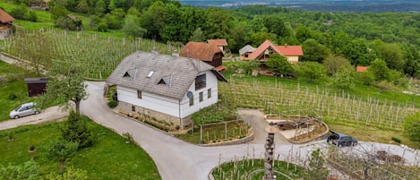 Casa estándar, varias habitaciones, 2 baños, junto a la montaña (Vineyard Homestead Vrtin) | Exterior
