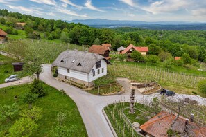 Exterior - Vineyard Homestead Vrtin (Crnomelj)