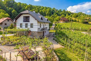 Maison Standard, plusieurs chambres, 2 salles de bains, cÎté montagne (Vineyard Homestead Vrtin) | Extérieur