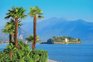 A coastal view with palm trees and a historic building on an island. - Muffy (Stresa)