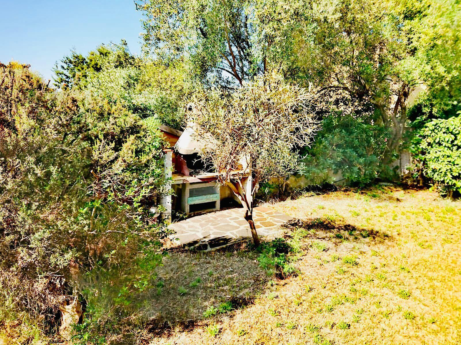 A rustic outdoor area with a stone bench, a small wooden structure, and dense shrubbery.