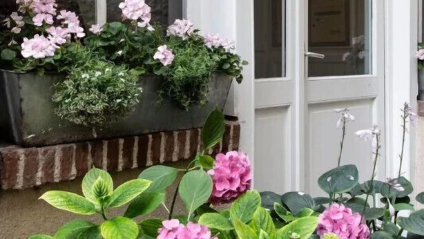 A window box with pink flowers and green foliage in front of a white door. - La Belle Place | City Center | 4 Guests (Honfleur)