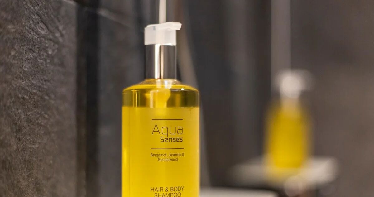 Tina, secadora de cabello, toallas, jabón 