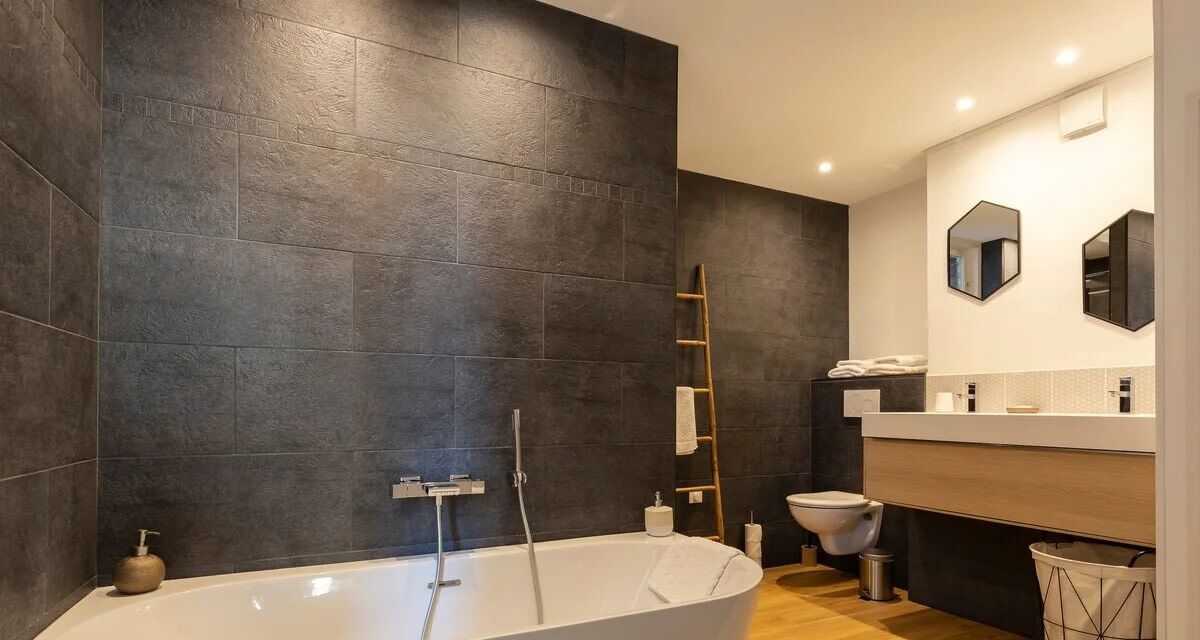 Bathtub, hair dryer, towels, soap