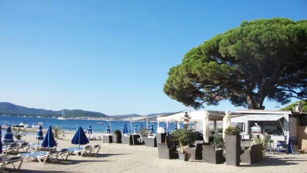 A beachside café with outdoor seating, a large tree, and a view of the sea.