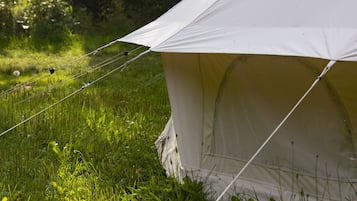 Ăreas de la propiedad