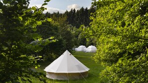 Ein weißes Zelt in einer grasbewachsenen Landschaft, umgeben von Bäumen.