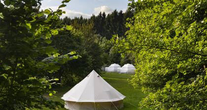 DOMO CAMP LOSHEIM AM SEE - MYMOLO Lodge für 2p in der Nähe des Sees