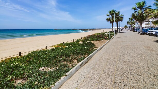Ein Strand mit gepflastertem Weg, Palmen und blauem Himmel.