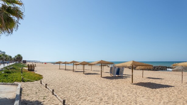 Ein Strand mit Reetdachschirmen, einem Sandweg und freiem Blick auf das Meer.