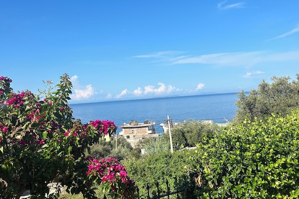 Basic Apartment, 1 Bedroom, Ground Floor | Beach/ocean view