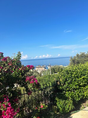 Basic Apartment, 1 Bedroom, Ground Floor | Beach/ocean view