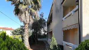 A narrow pathway flanked by greenery leading to a building with balconies and a palm tree. - Apartment Emina (Sv. Filip i Jakov)