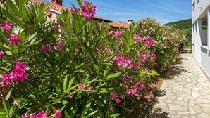 A pathway lined with vibrant pink flowers and green foliage, leading to a building with a tiled roof. - Apartments Iris (Rabac)